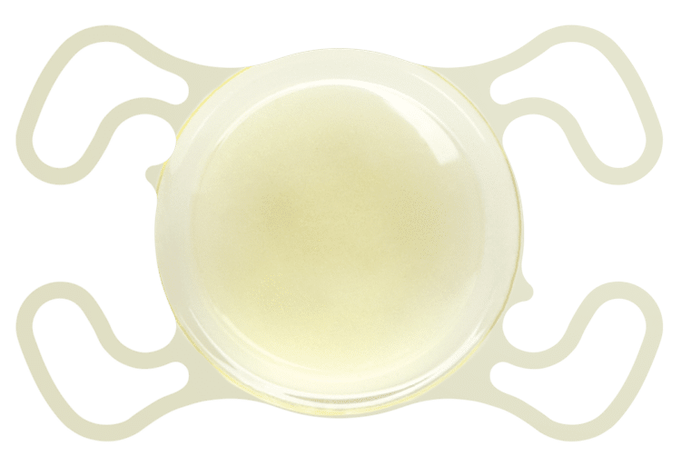 lens icon
